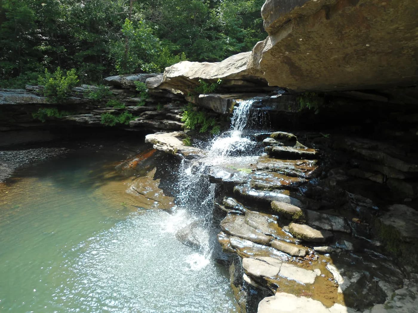 Kings River Falls at low flow, upstream of the featured floats.