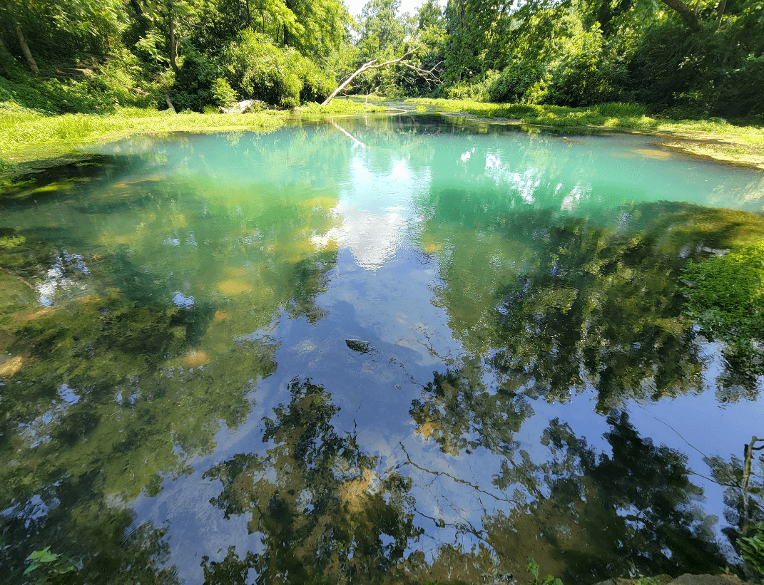 Eleven Point River