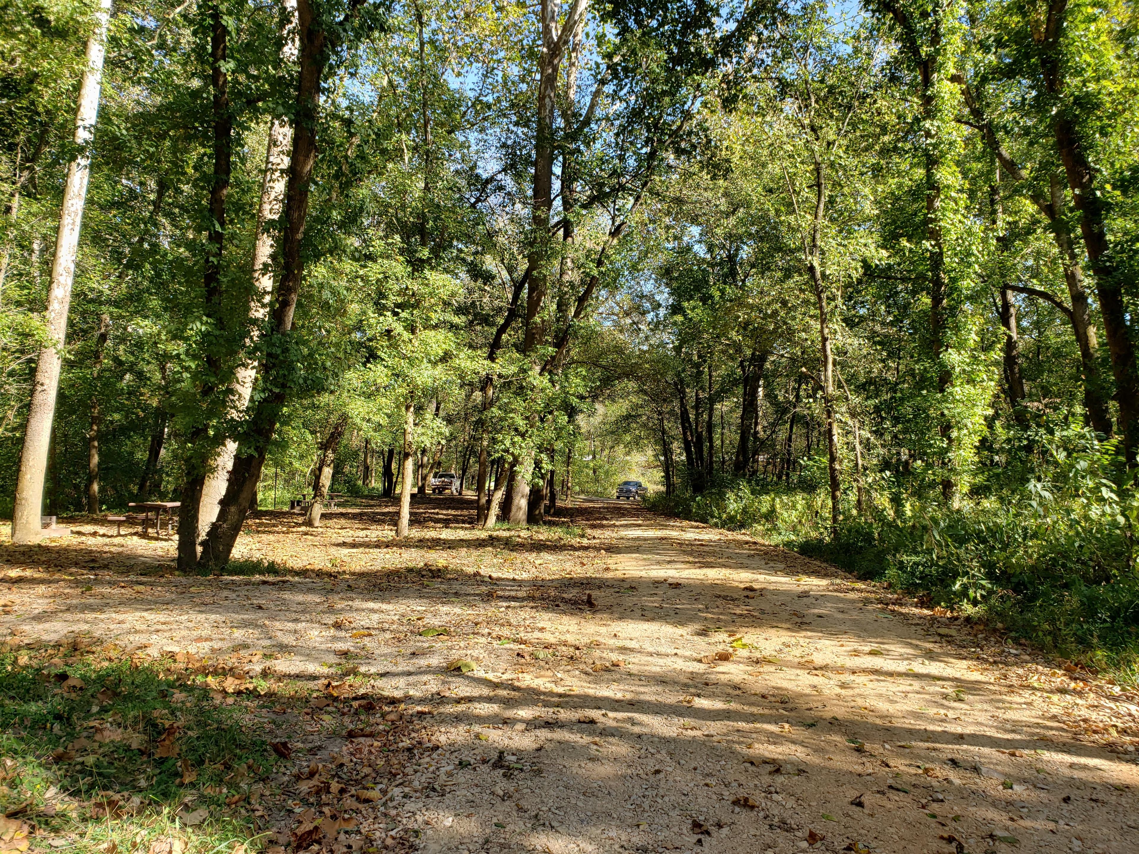 Lush green trees cast shade onto a number of campsites.