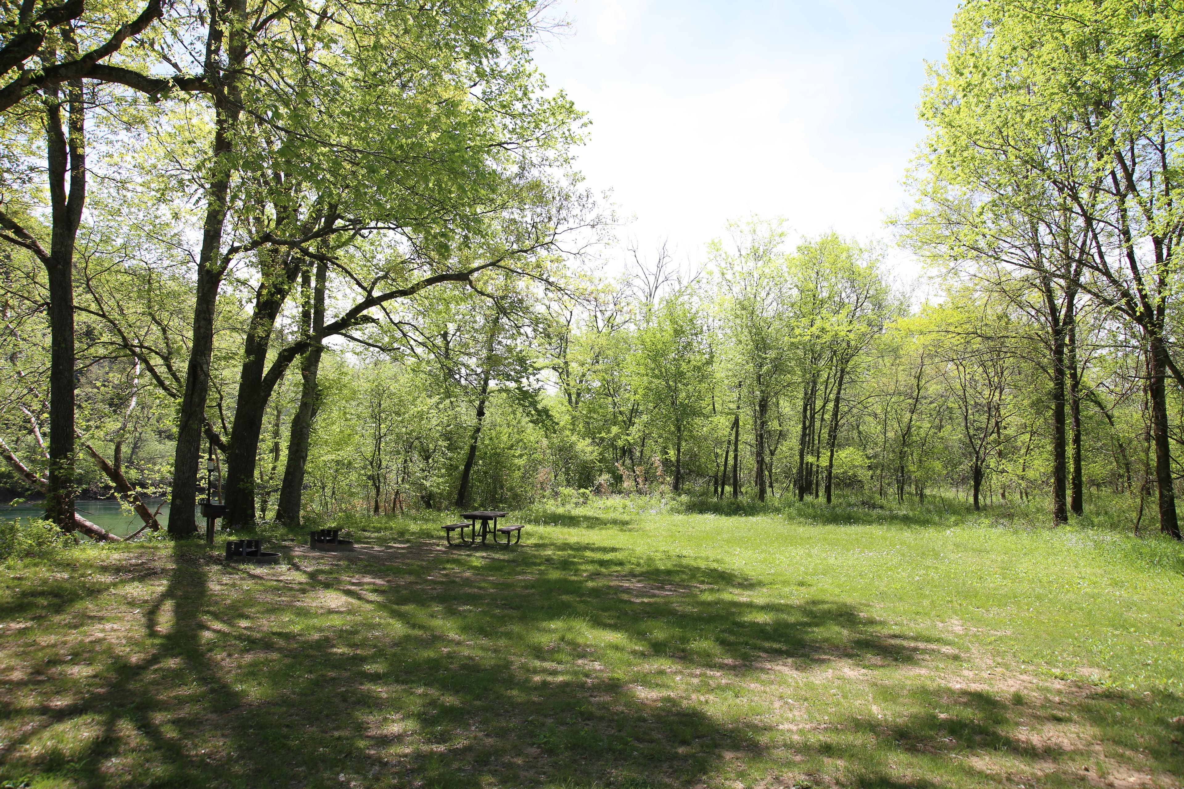 A sunny, grassy campsite along a river.