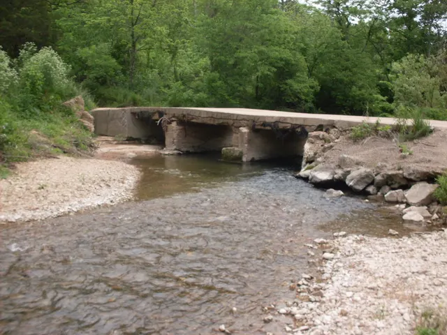 North Fork near its headwaters, upstream of the featured floats.